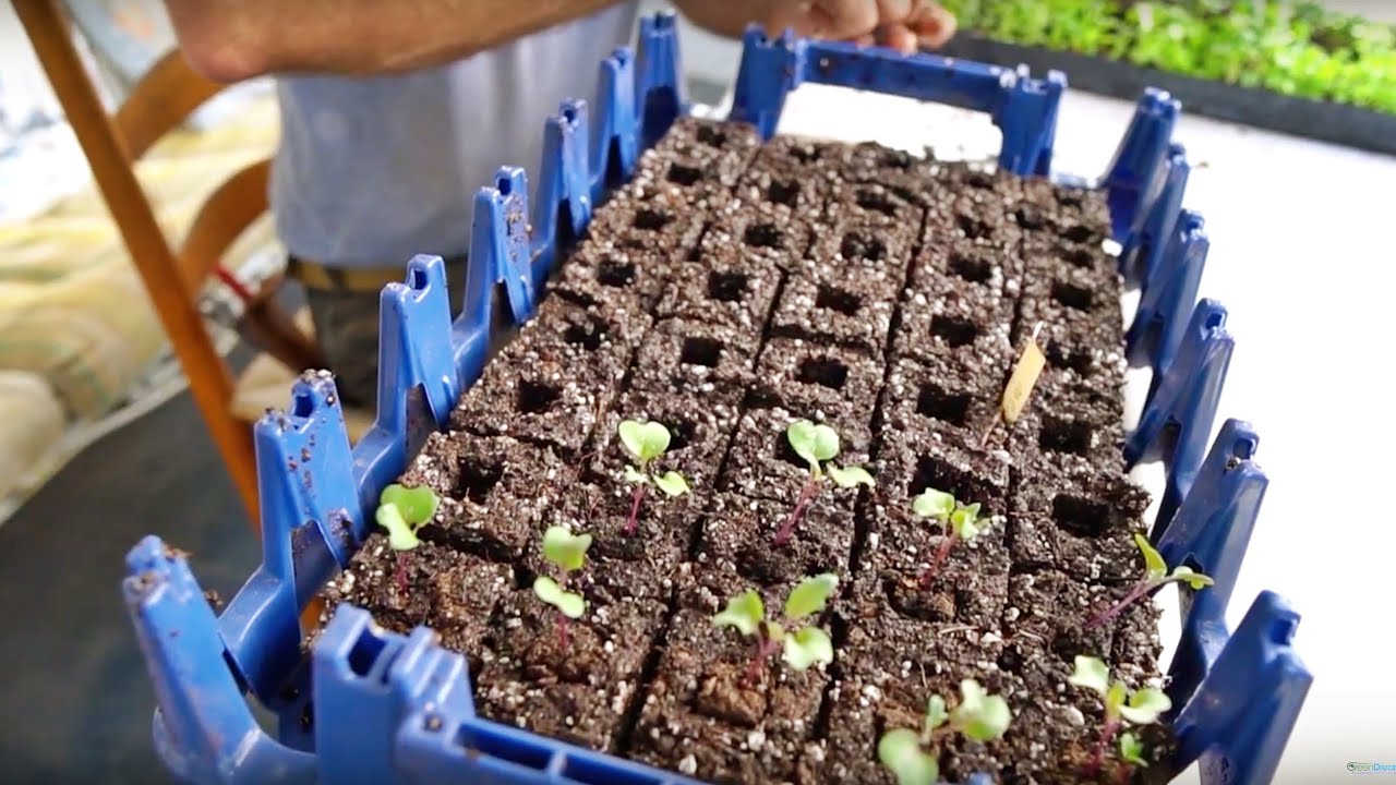 Making Soil Blocks: #1 Method For Starting Seeds (w/ Jim Kovaleski