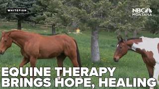 Flathead Valley nonprofit joins international 2026 Horses for Mental Health campaign