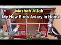 Mashah Allah my New birds aviary in Home ll birds aviary visit ll birds aviary in pakistan