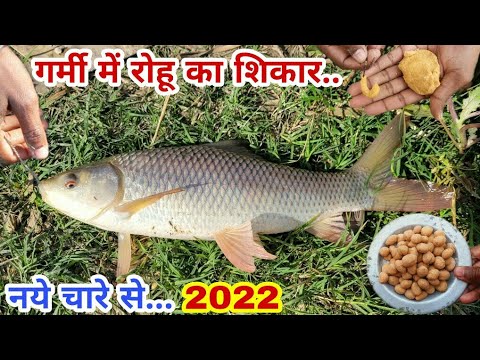 वीडियो: मक्खन क्रीम कैसे बनाएं: 8 कदम (चित्रों के साथ)