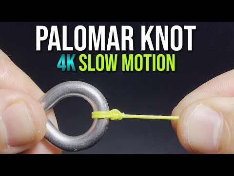 How to Tie a PALOMAR KNOT!, Knot Easy! Series