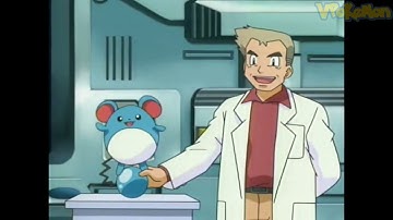 Marill attacks Professor Oak | Professor Oak Funny Moments