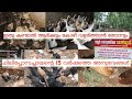 Nadan kozhi valarthal | നാടൻ കോഴി വളർത്തൽ മികച്ച മാതൃക | Poultry Farming
