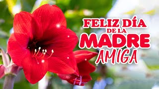 FELIZ DÍA DE LA MADRE AMIGA - MENSAJES, FRASES, IMÁGENES DE DÍA DE LA MADRE PARA UNA AMIGA