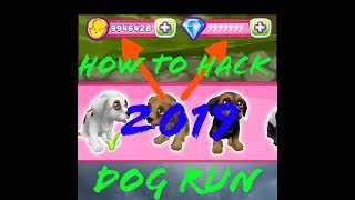 how to hack dog run 2019  tutorial