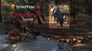 How to run Object Detection with Tensorflow Lite and a Raspberry PI 4 to Build a Wildlife camera