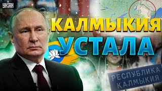 Москва, до свидания! Калмыкия устала от Путина. Народ берет власть в свои руки. Сокровища нации