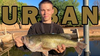 Arizona Urban Fishing Guide - Catch WAY More Fish!