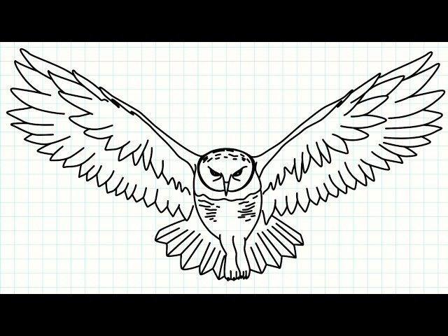 Realistic yet Stylized Owl Drawing for Kids with Gothic References Stock  Illustration - Illustration of artwork, lesson: 284207081