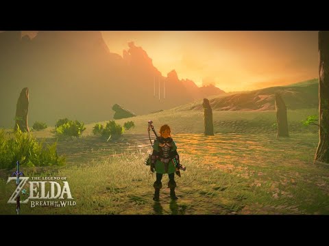 Developers Didn't Think We'd Try This In Botw..
