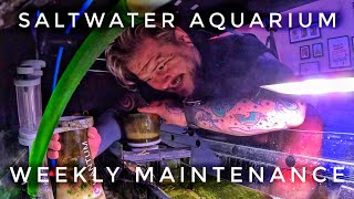 How to Maintain Your Saltwater Aquarium │New Reef Tank Is Coming