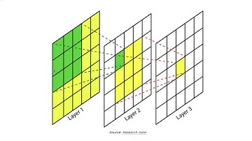 ECS 289G Talk: Understanding Robustness of Transformers for Image Classification