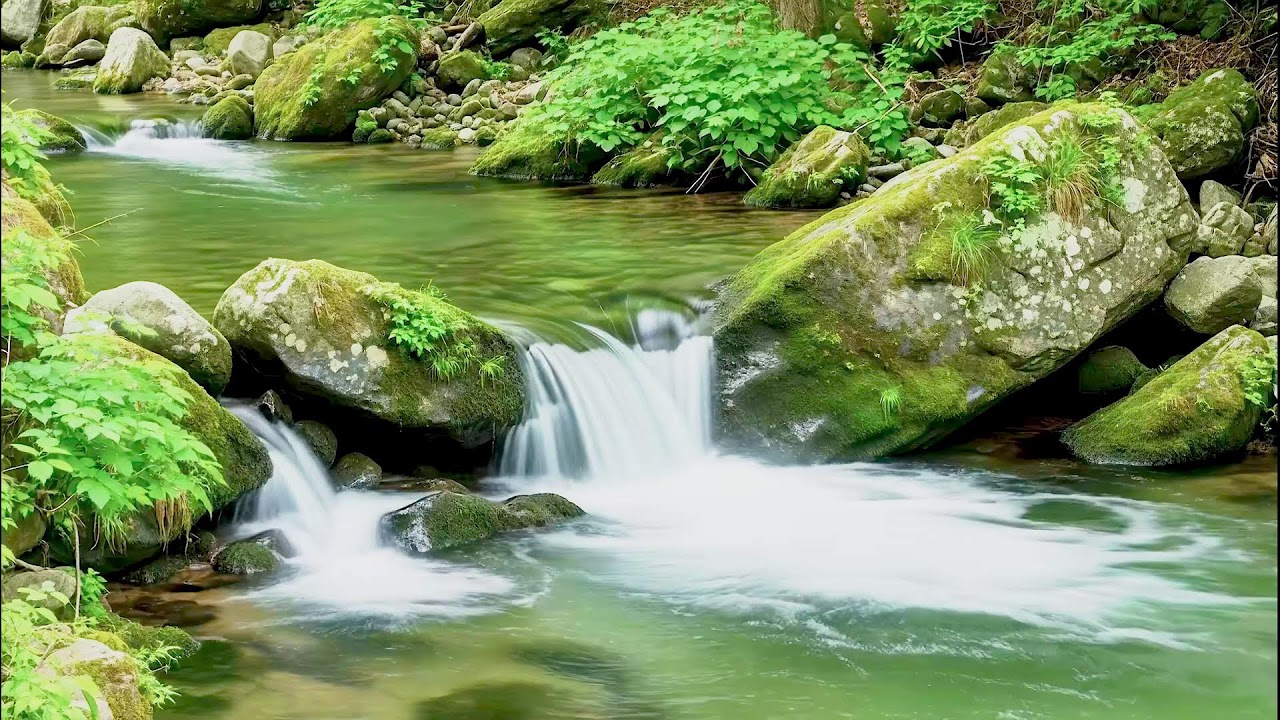 Relaxing River Sound for Deep Sleep | Health Boosting Ambience for Peaceful Rest