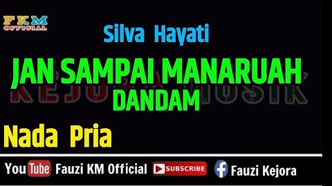 Silva Hayati - JAN SAMPAI MANARUAH DANDAM ( KARAOKE ) Nada PRIA