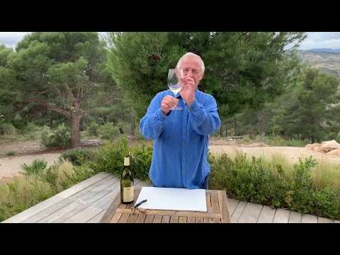 Wideo: Jak Smakować Wino?