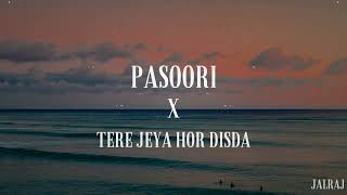 Pasoori X Tere Jeya Hor Disda Slowed Reverb Jalraj Vibex Official
