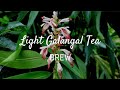 Light Galangal Tea | Brew