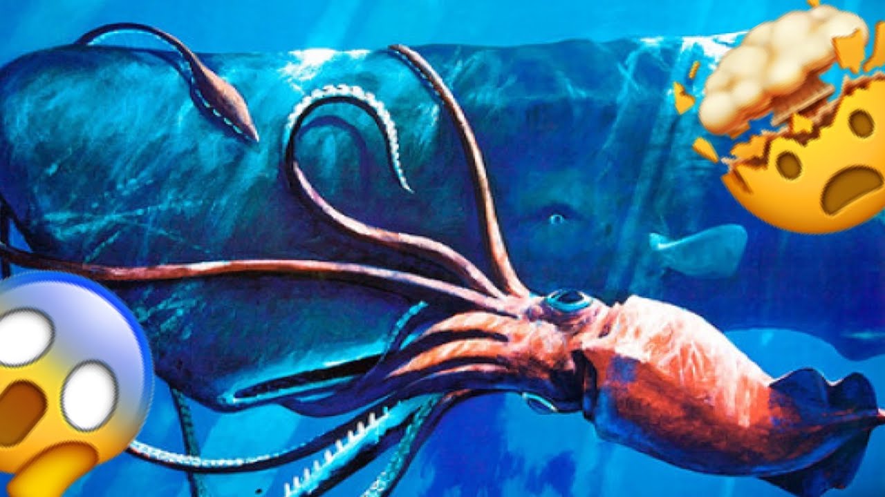 GIANT WHALE VS GIANT SQUID😯 - YouTube