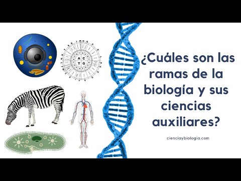 Vídeo: La Biologia Com A Ciència