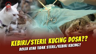 KEBIRI ATAU STERIL KUCING DOSA??? BERIKUT PENJELASAN NYA by O Pet LOVE CAT 2,617 views 11 months ago 8 minutes, 12 seconds