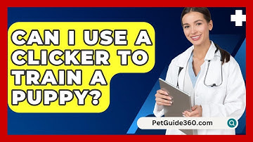 Can I Use a Clicker to Train a Puppy? - PetGuide360.com