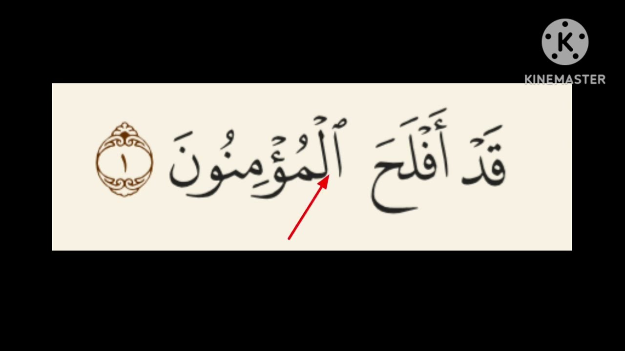 السكون الحي والسكون الميت