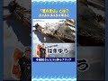 泡がぶくぶく！「蟹の念仏」とはどういうこと？