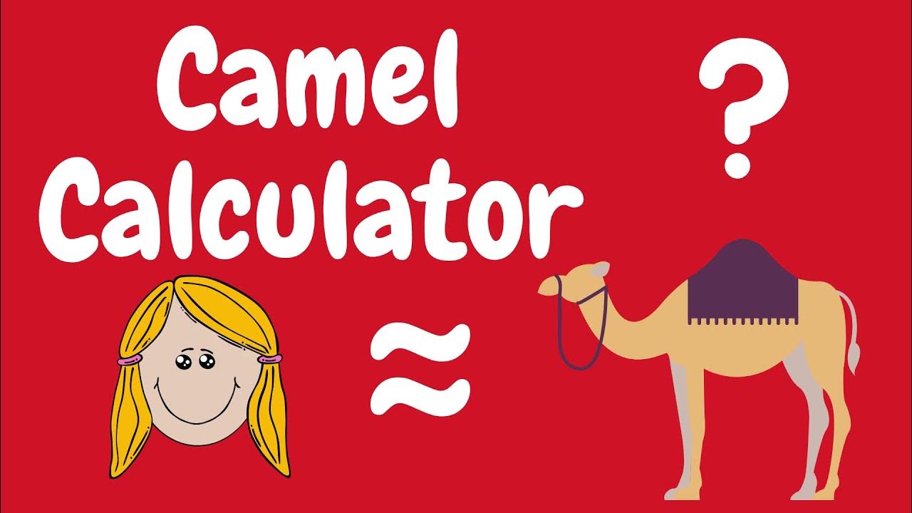 Camel Calculator YouTube