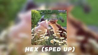 hex-80purppp (sped up)