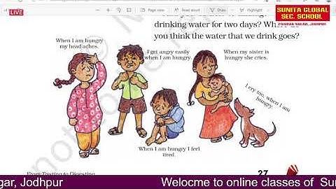 class 5 EVS chapter 3 From Tasting to Digesting part 3