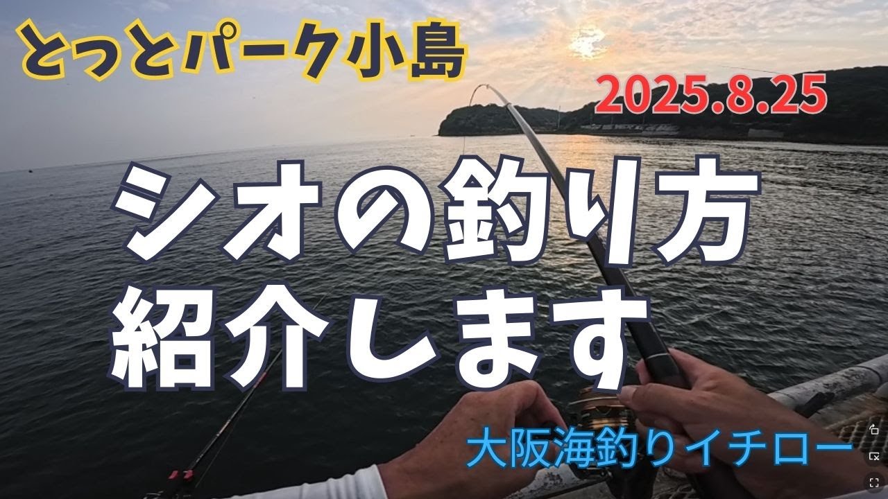 大阪海釣りイチロー　とっとパーク小島　シオの釣り方紹介します