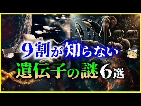 【ゆっくり解説】ガチで眠れなくなる「遺伝子」の謎6選まとめ【総集編】/進化とDNA、人だけが老化する理由、親の経験が子に遺伝？、ウイルスが進化させた生物ほか＜睡眠用＞＜作業用＞