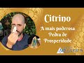 Citrino a mais poderosa pedra de prosperidade