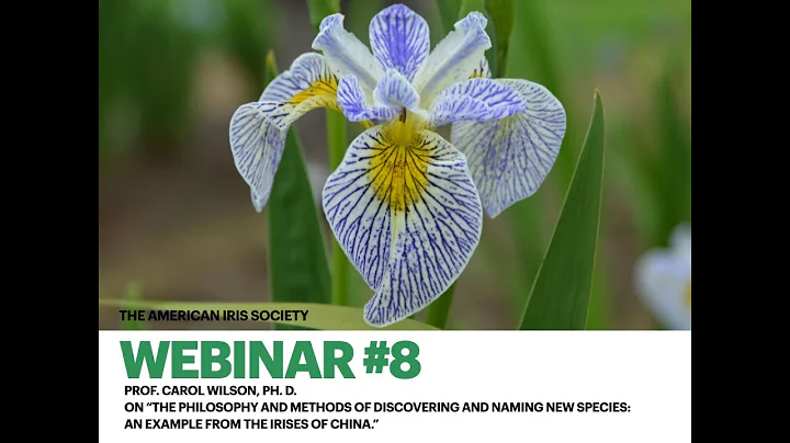 AIS Webinar #8 "The Philosophy and Methods of Disc...