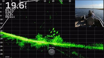 Crappie Fishing on HOT Summer Days!!!   Full-Screen LiveScope Footage!!!  Trip #12
