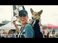 Summer Corgi Nationals on Sunday May 25