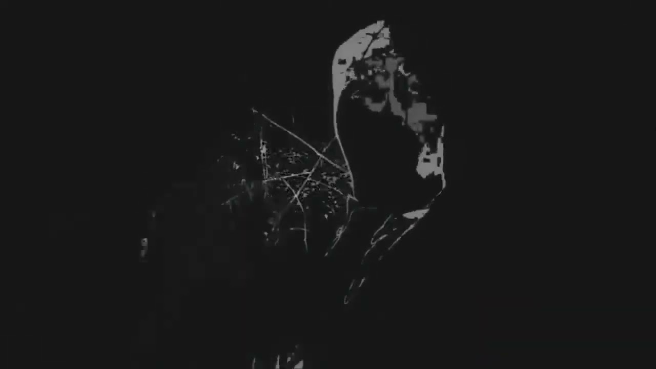 Marble Hornets is back!