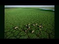 Photos of Africa, taken from a flying lawn chair | George Steinmetz