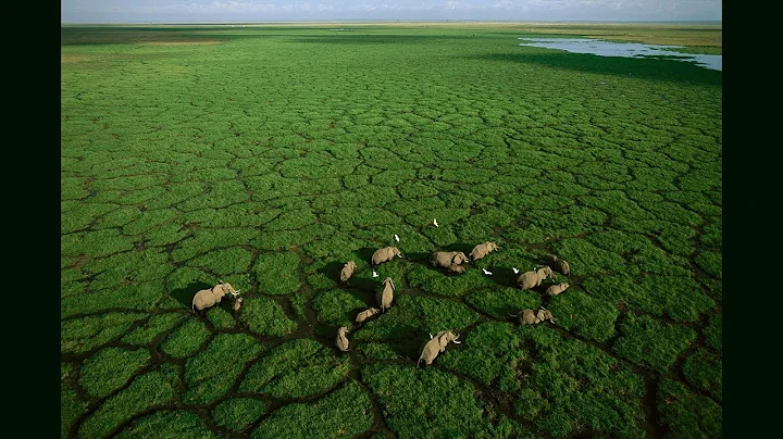 Photos of Africa, taken from a flying lawn chair |...