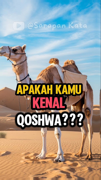 KAMU TAU QOSHWA? UNTA MILIK RASULULLAH SAW #feedshorts  #unta