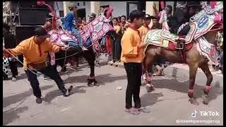 judul lagu bajo loreng vesi(kuda renggong 🐎🐎🐎) auto mencung tukang kuda