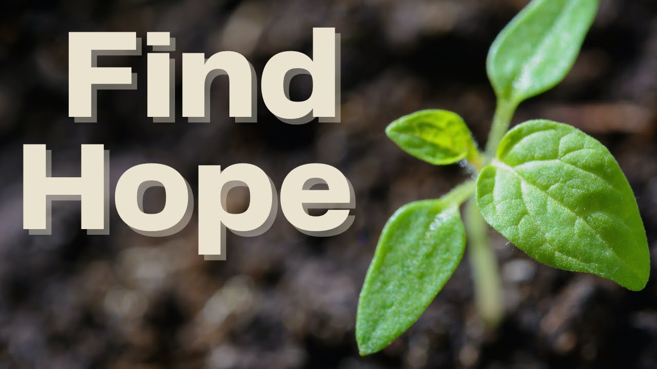Hope In Despair Finding Hope in Despair: Overcoming Life's Toughest Challenges - YouTube