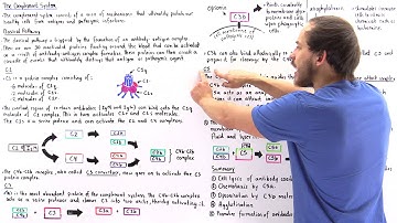 Classical Pathway of Complement System