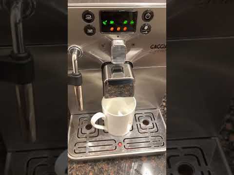 Gaggia Brera 2010