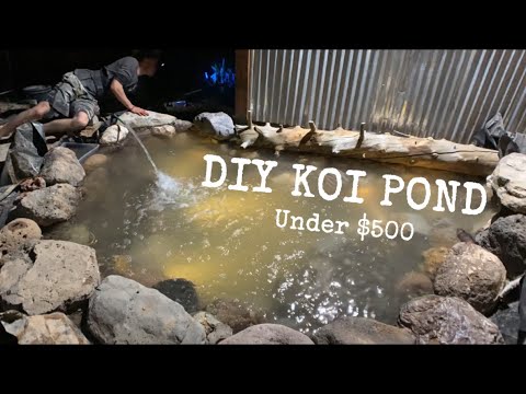 Video: Kā izveidot Koi zivju dīķi (ar attēliem)