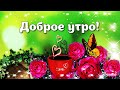 Доброе утро! Позитивного и ясного дня!