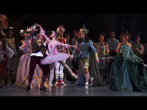 16.9_Stream_SleepingBeauty - 16.9_Stream_SleepingBeauty