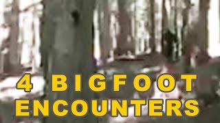 Bigfoot Encounters