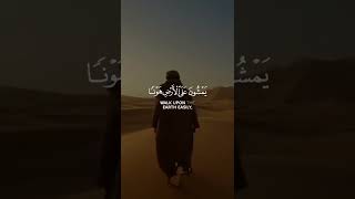 وعباد الرحمن الذين يمشون على الأرض هونا وإذا خاطبهم الجاهلون  | سورة الفرقان | القارئ مشاري فالح