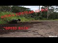 ARRMA FIRETEAM 6s BLX “Speed Bash” | 🌋RC Action Hawaii🌴